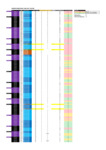file details
