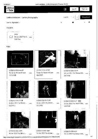 file details