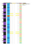 file details