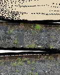 file details