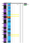 file details