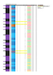 file details